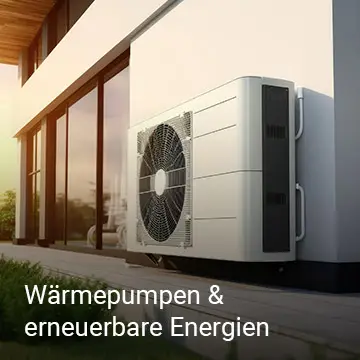 Wärmepumpen & erneuerbare Energien
